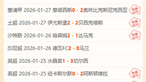 [德甲]霍勒精准横传，维斯豪普特头球建功